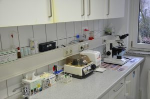 Laboruntersuchung - Tierarzt / Tierärztin in Grevenbroich (Rhein Kreis Neuss)