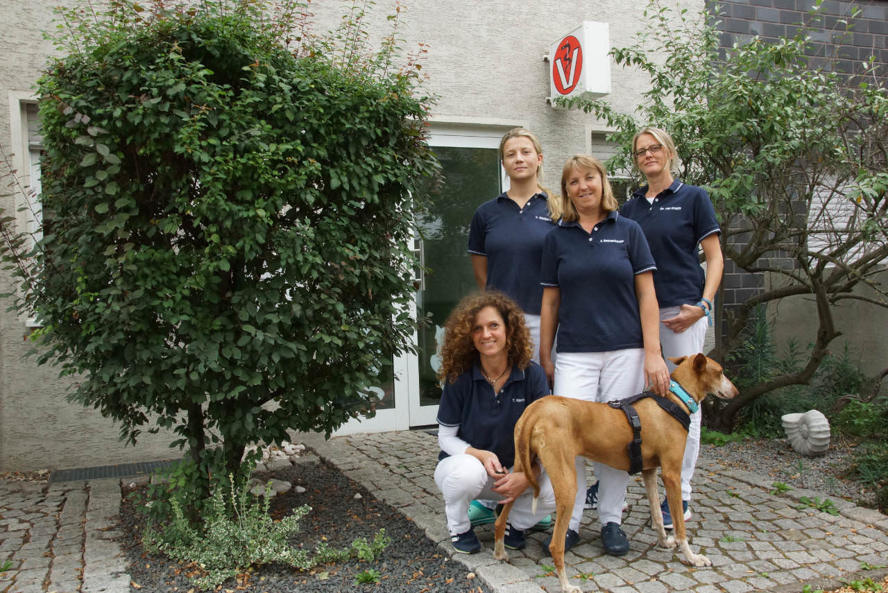 Tierarzt Grevenbroich Bahnhof - Unser Team besteht aus zwei Tierärztinnen und drei Tierarzthelferinnen